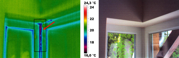 Thermographiebild